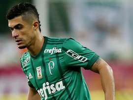 Palmeiras soma e segue no Brasileirão. Goal