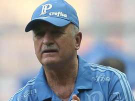 Scolari com desafio importante no Verdão. Goal