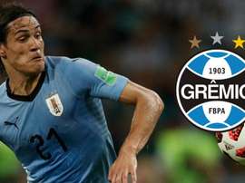 Cavani no Grêmio é ilusão, diz Bolsan: 'não é para o nosso bico'. Goal