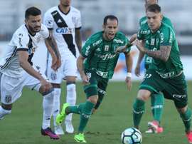 O Palmeiras não tem tido sorte essa época com as lesões. Goal