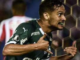 Palmeiras não perde há 40 anos em estreias na Libertadores com triunfo sobre Junior. Goal