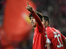 Simeone says developing youngsters like Joao Felix are what Atleti specialise in. GOAL