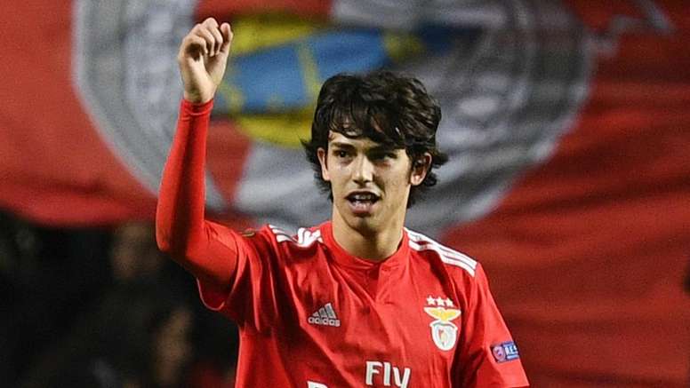 Joao Felix No Superhero Yet Says Benfica Boss Lage Besoccer