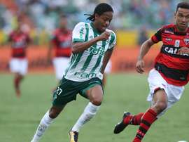 Negruyne, Kenaldinho...palmeirenses vibram com atacante. Goal