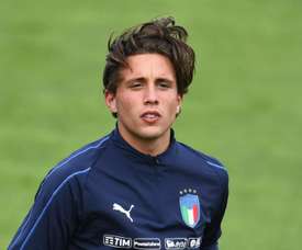 Last News Luca Pellegrini Genoa Besoccer