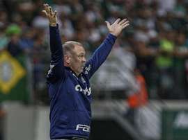 Palmeiras precisa repetir Flamengo de 2009 para ser campeão. Goal