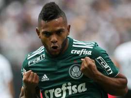 Verdão: vantagem histórica contra peruanos.Goal