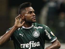 Borja no Verdão: quanto custou e quantos gols em quase 3 anos? Goal