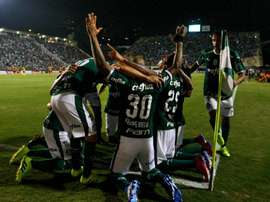 Palmeiras só precisa de empatar para garantir vaga nas oitavas. Goal