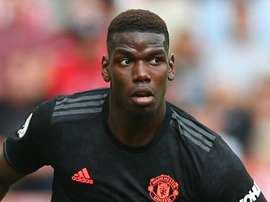 Pogba è l'ultima pazza spesa: un cane da guardia da 15mila sterline. Goal
