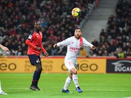 Savanier à Montpellier. Goal