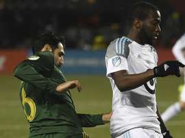 Timbers-cropped