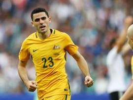 TomRogic - cropped
