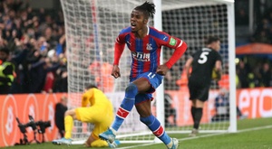 Crystal Palace Vs Brighton Hove Albion Premier League 16