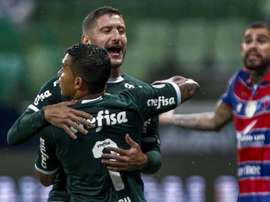 Prováveis onzes de CSA e Palmeiras. Goal