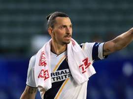 Zlatan - cropped