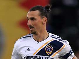 Ibra wants Italy return - Schelotto