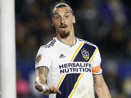 L'amica di Ibrahimovic rivela la passione dello svedese per il Napoli. Goal