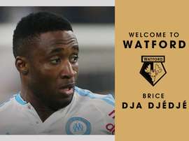 Imagen de bienvenida del Watford a Dja Djédjé. Watford