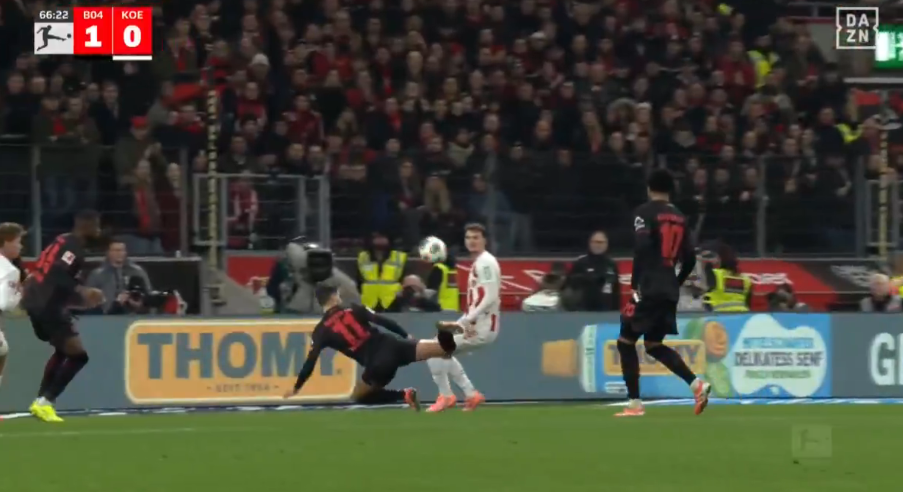 Terrier desafía las leyes de la física