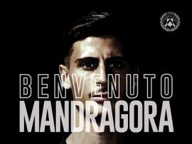 Maandragora à l'Udinese. Twitter/Udinese