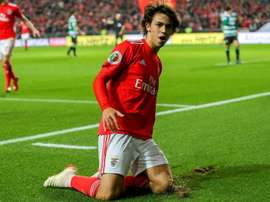 Cláusula de Rodrigo pode acelerar processo de transferência de João Félix. EFE