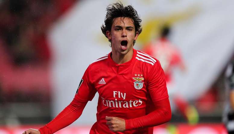 Joao Felix Professed His Love For Benfica Now I See How Happy I Was Besoccer