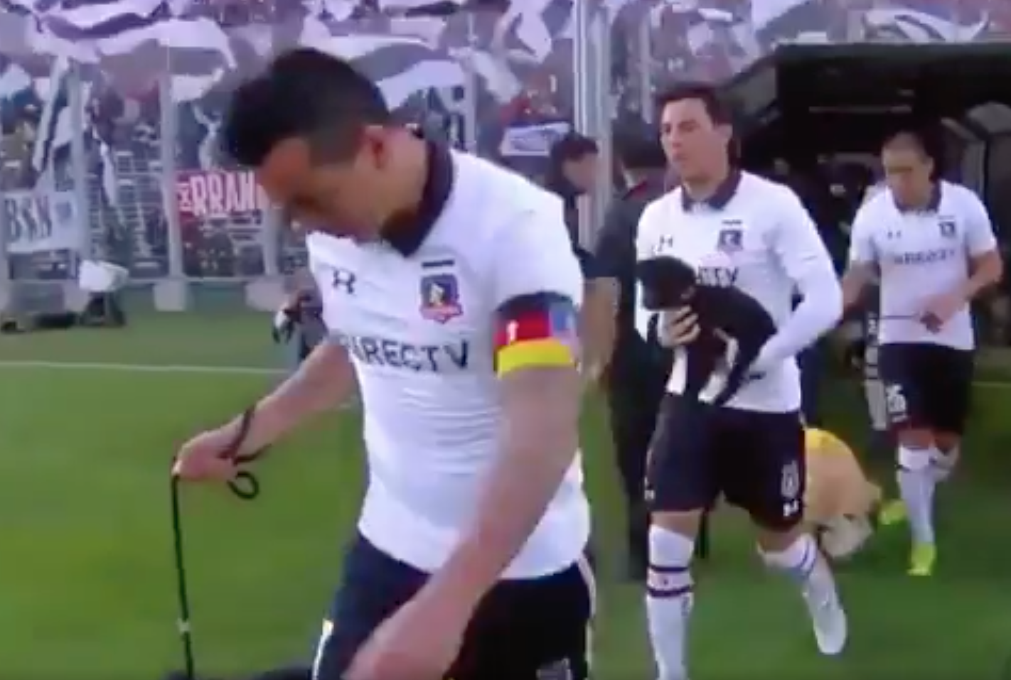 Los jugadores de Colo Colo saltaron al campo con perros abandonados