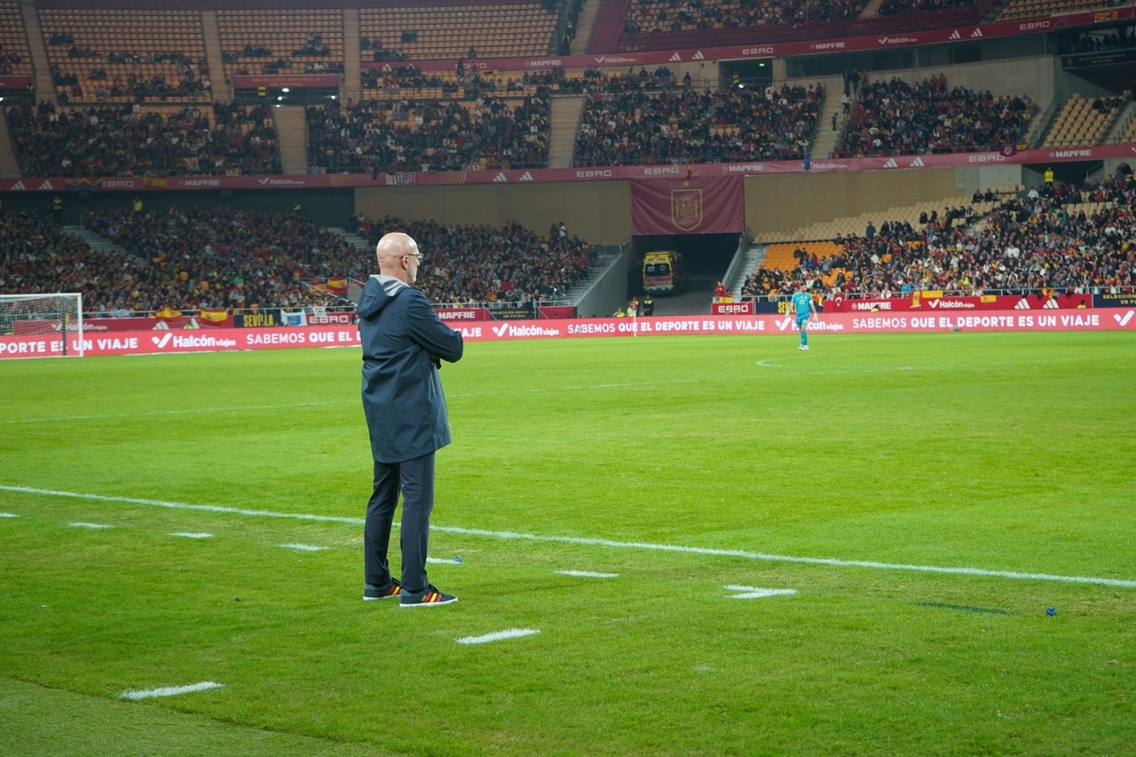 De la Fuente pide perdón por no saludar al asistente ante Turquía