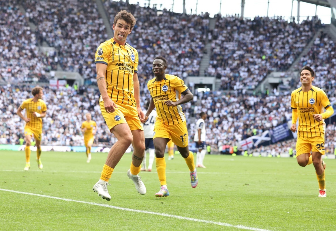 Unas gaviotas destrozan la fiesta del Tottenham