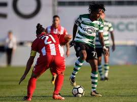 Aves e Sporting encaram-se na final da Taça. Twitter
