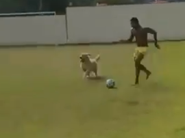 Les sparring partners particuliers de Neymar. Captura/NeymarJr