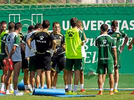 Pol Freixanet se ha lesionado de gravedad. ElcheCF