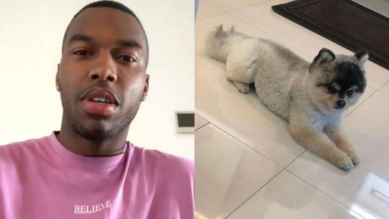 Sturridge got his dog back, but did not pay out the reward he promised. Instagram/danielsturridge