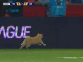 Un chat s'invite au match. Capture/TUDN