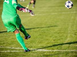 Goalkeeper showing off his skills.