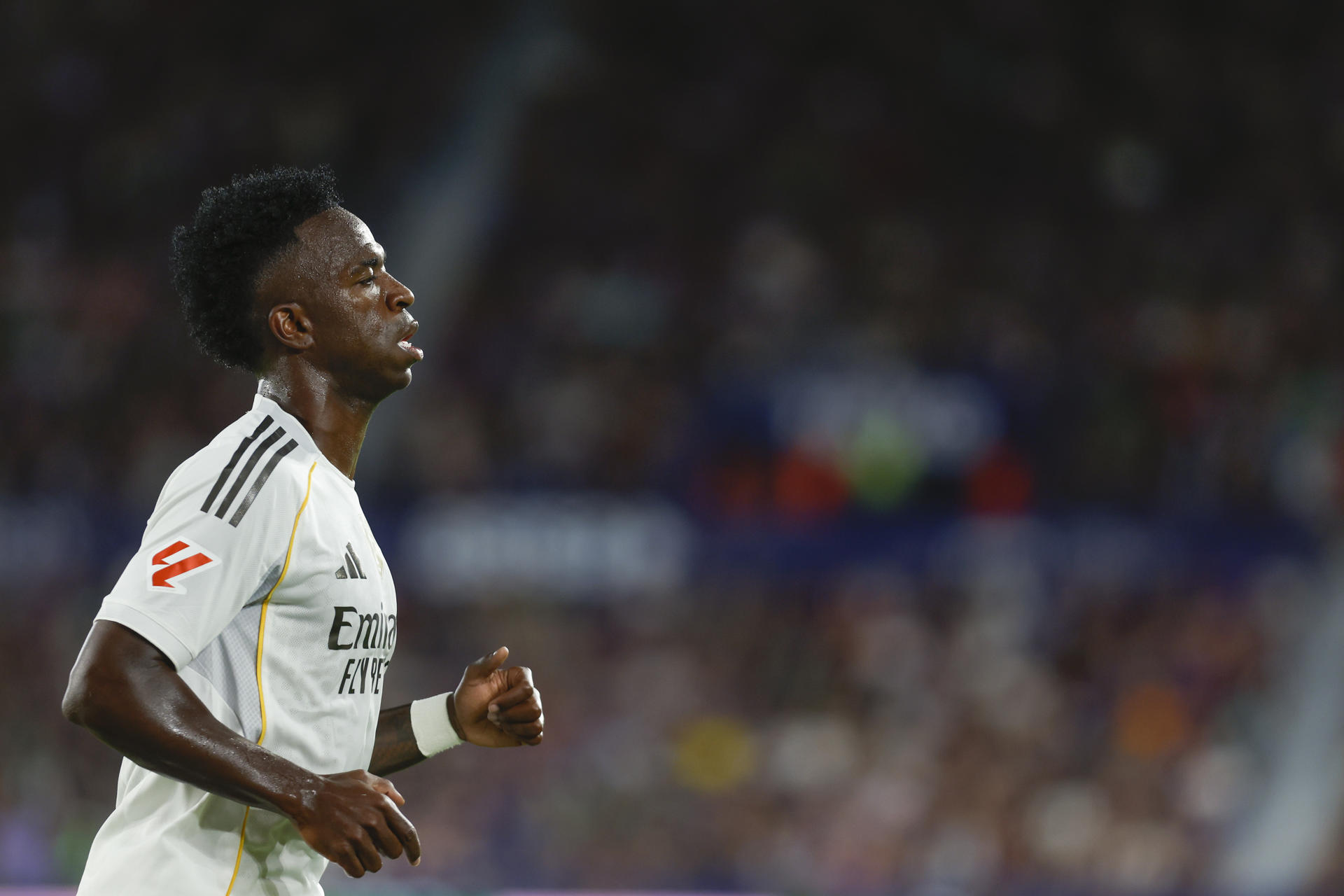 2025 no fue bonito, sabemos que tenemos que mejorar, pero vamos a volver