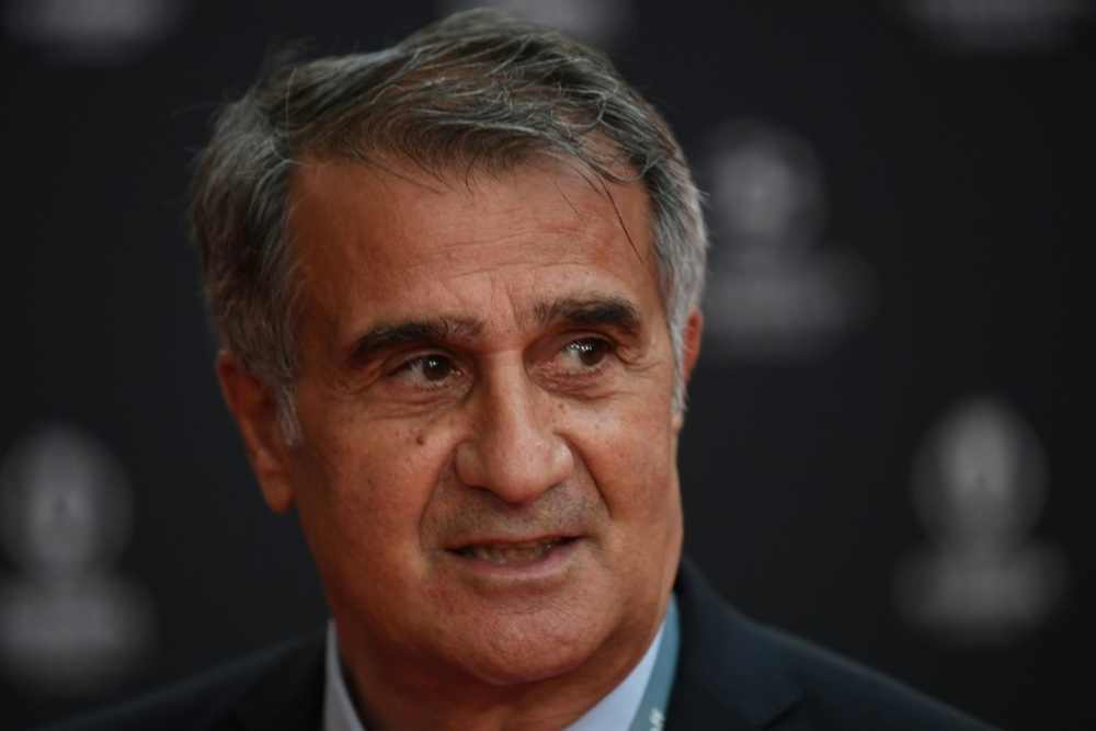 Le sélectionneur turc renvoyé après la déroute contre les Pays-Bas. afp