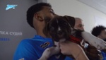 VÍDEO: cuando los jugadores del Zenit salieron al campo con perros en adopción